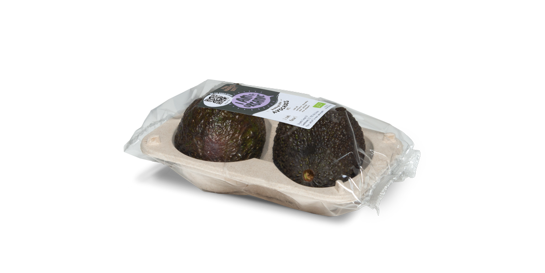 Avocado